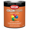 Krylon COLORmaxx paint Orange