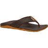 XtraTuf Men's Auna Sandal Brown
