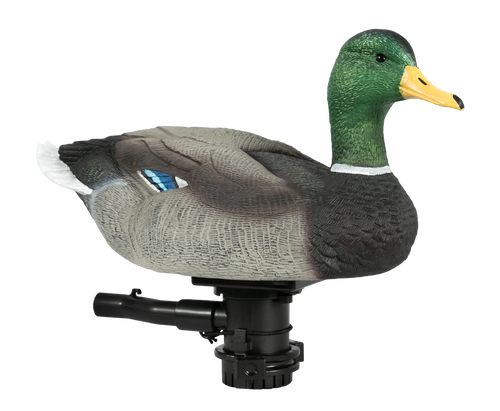 Lucky HDi Super Swimmer 2.0