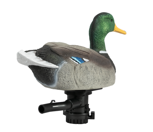 Lucky HDi Super Swimmer 2.0