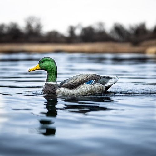 Lucky HDi Super Swimmer 2.0