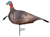 Primos 69069 Photo Form Jake Turkey Decoy